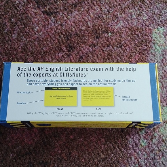 AP U.S. Government + English Literature & Composition Books + Flashcards - Picture 15 of 16